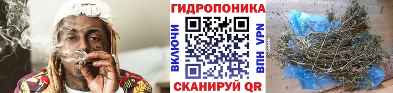 Наркотические вещества Камешково ГАШИШ  Марихуана  Кокаин  СК  Амфетамин  hydra онион  Меф мяу мяу 