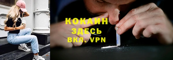 мяу мяу мука Арсеньев