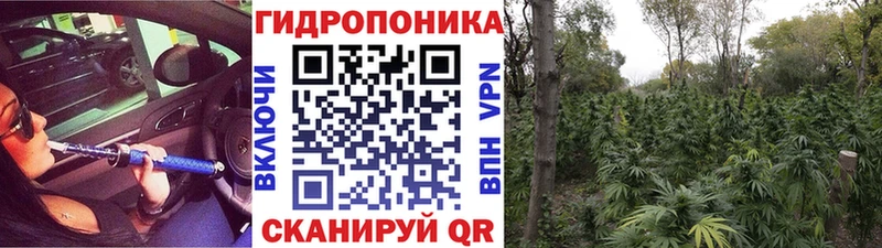 Бошки марихуана Bruce Banner hydra ссылки Камешково