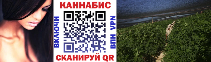 Конопля гибрид Камешково